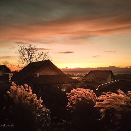 Panorama Glamping Visole Hotel Slovenska Bistrica Bagian luar foto
