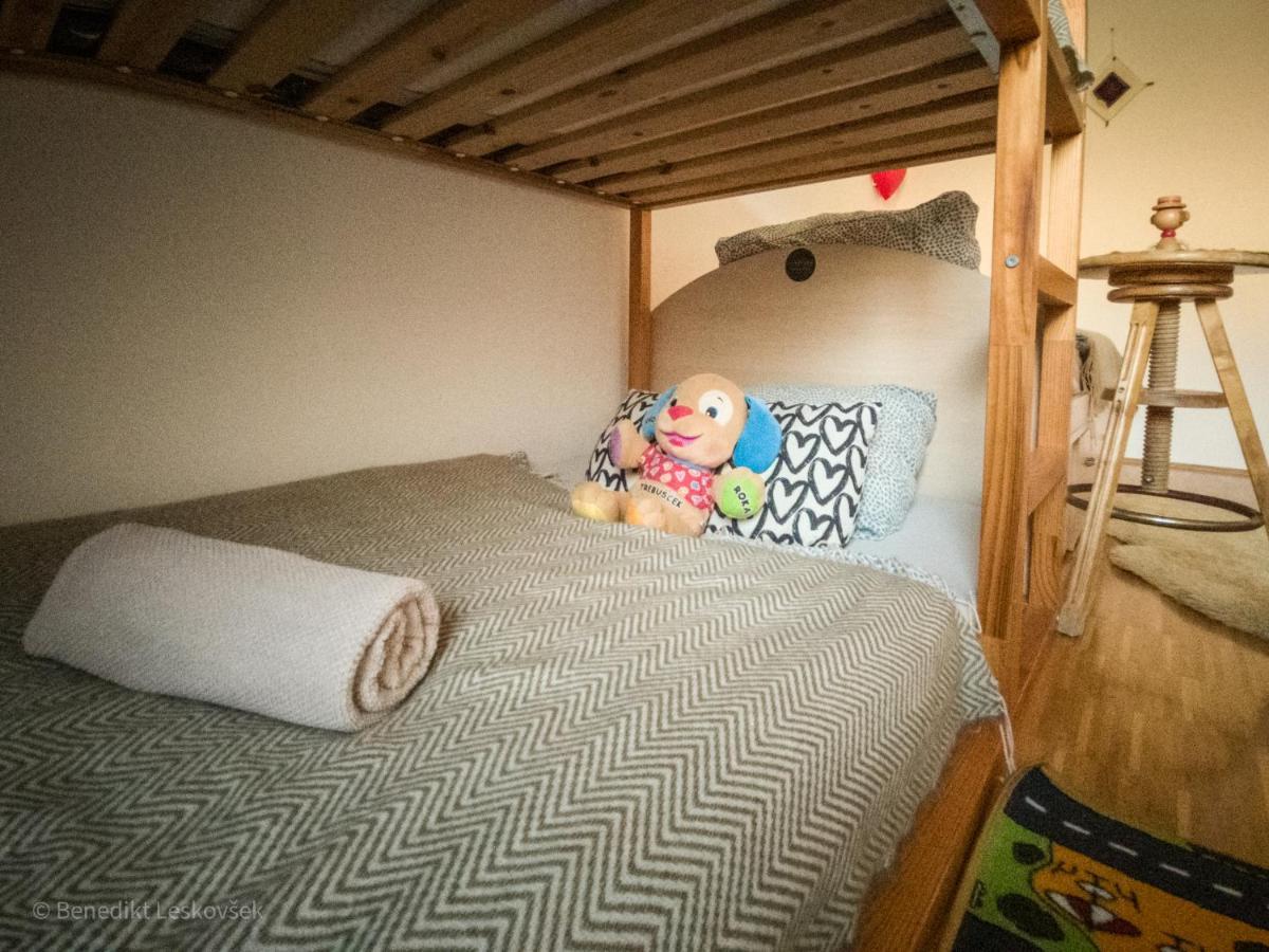 Panorama Glamping Visole Hotel Slovenska Bistrica Bagian luar foto