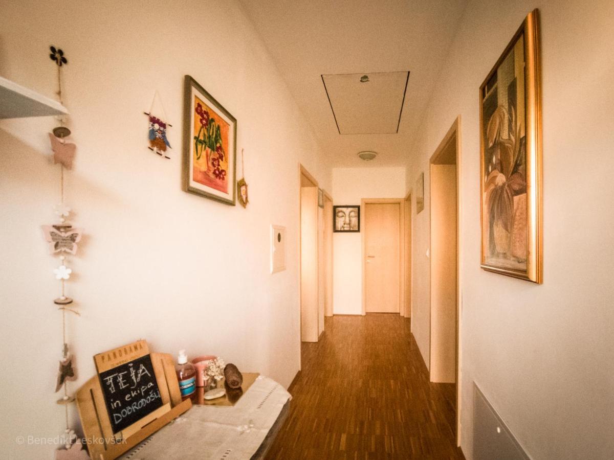Panorama Glamping Visole Hotel Slovenska Bistrica Bagian luar foto