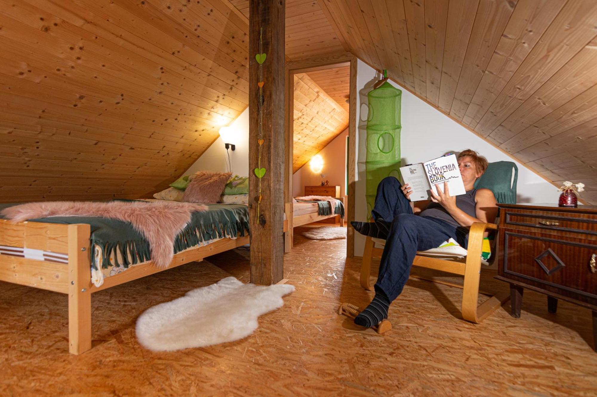 Panorama Glamping Visole Hotel Slovenska Bistrica Ruang foto